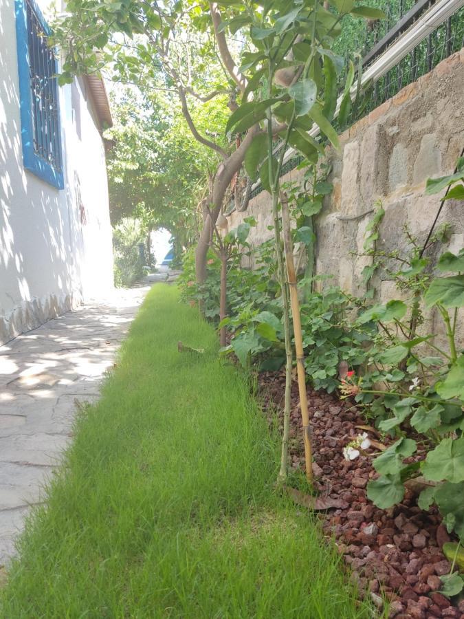 Apart Turgutreis Εξωτερικό φωτογραφία
