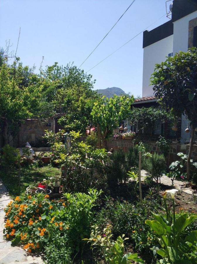 Apart Turgutreis Εξωτερικό φωτογραφία