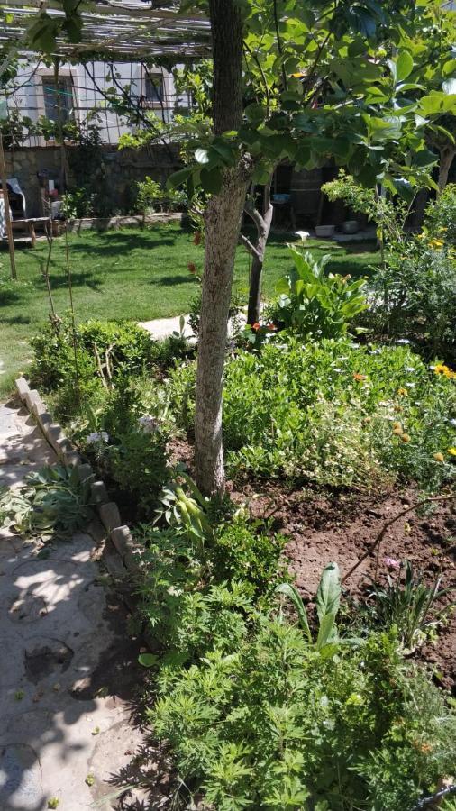 Apart Turgutreis Εξωτερικό φωτογραφία
